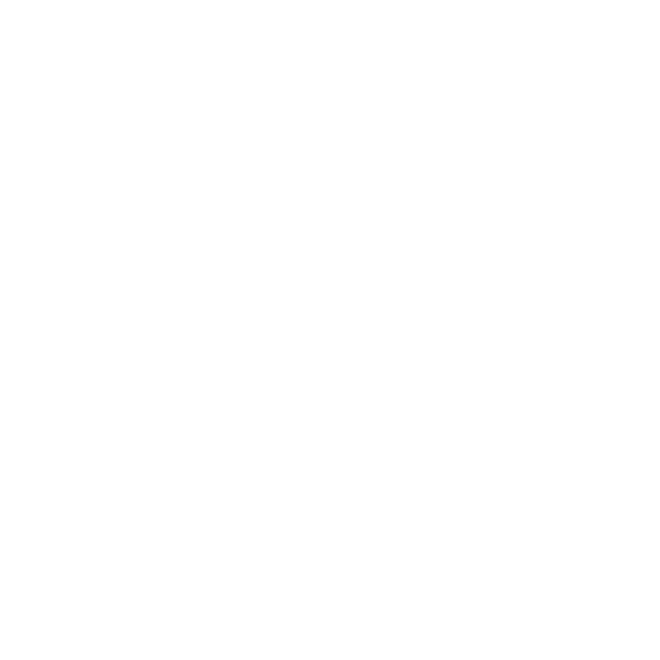 camion